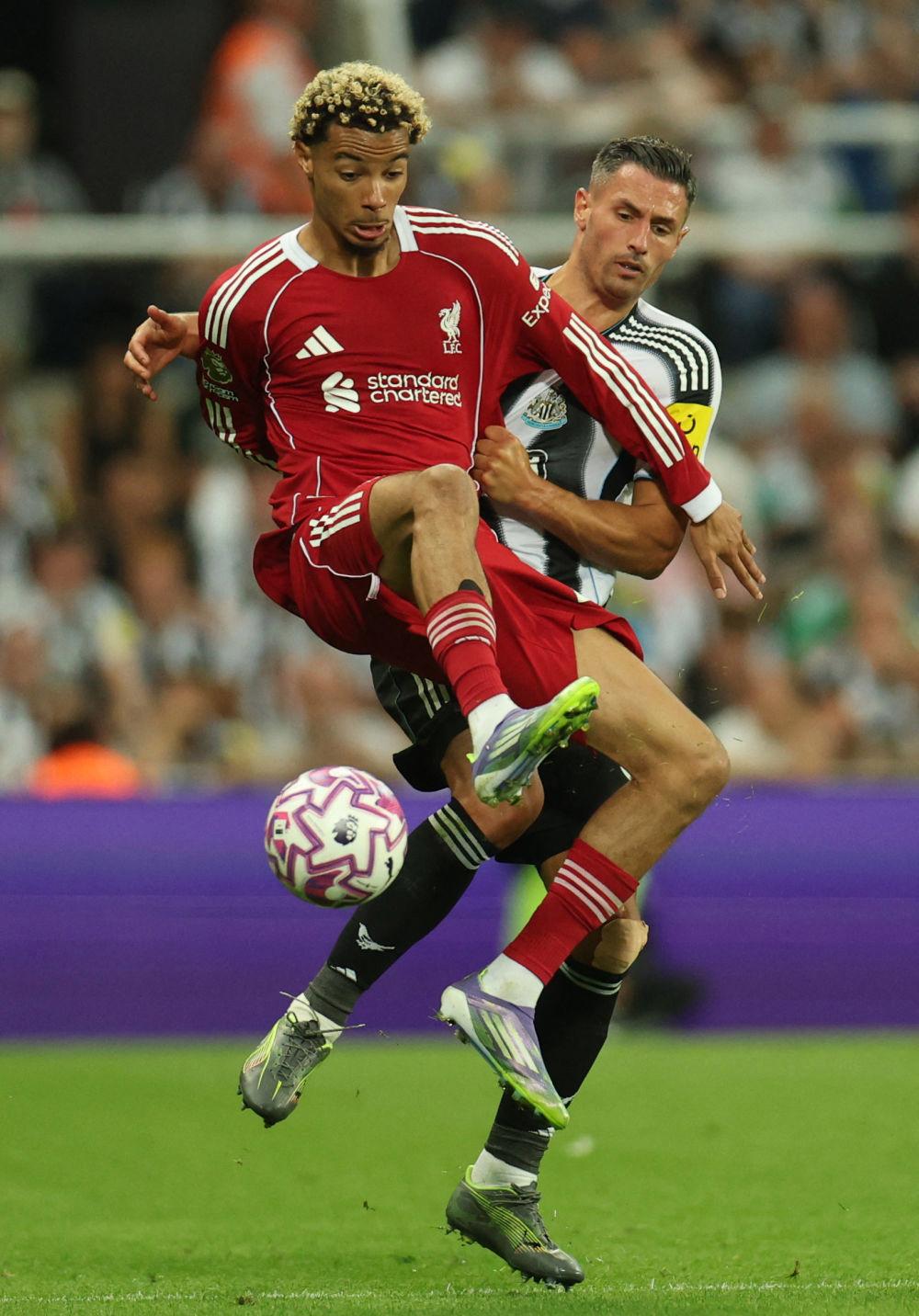 开云在线利物浦训练开放日，国际比赛日临场应变引欢呼，NBA季后赛在即，赛季目标并未改变的简单介绍